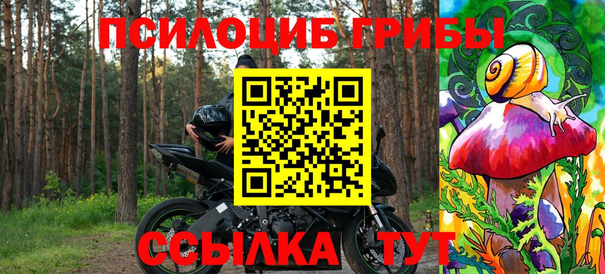 Псилоцибиновые грибы мухоморы Михайловка